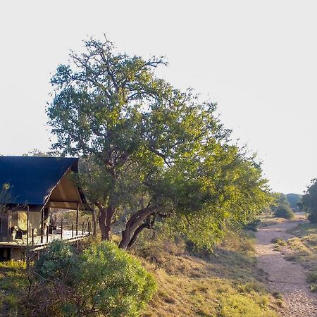 Garonga Safari Camp Villa Makalali Game Reserve Екстериор снимка