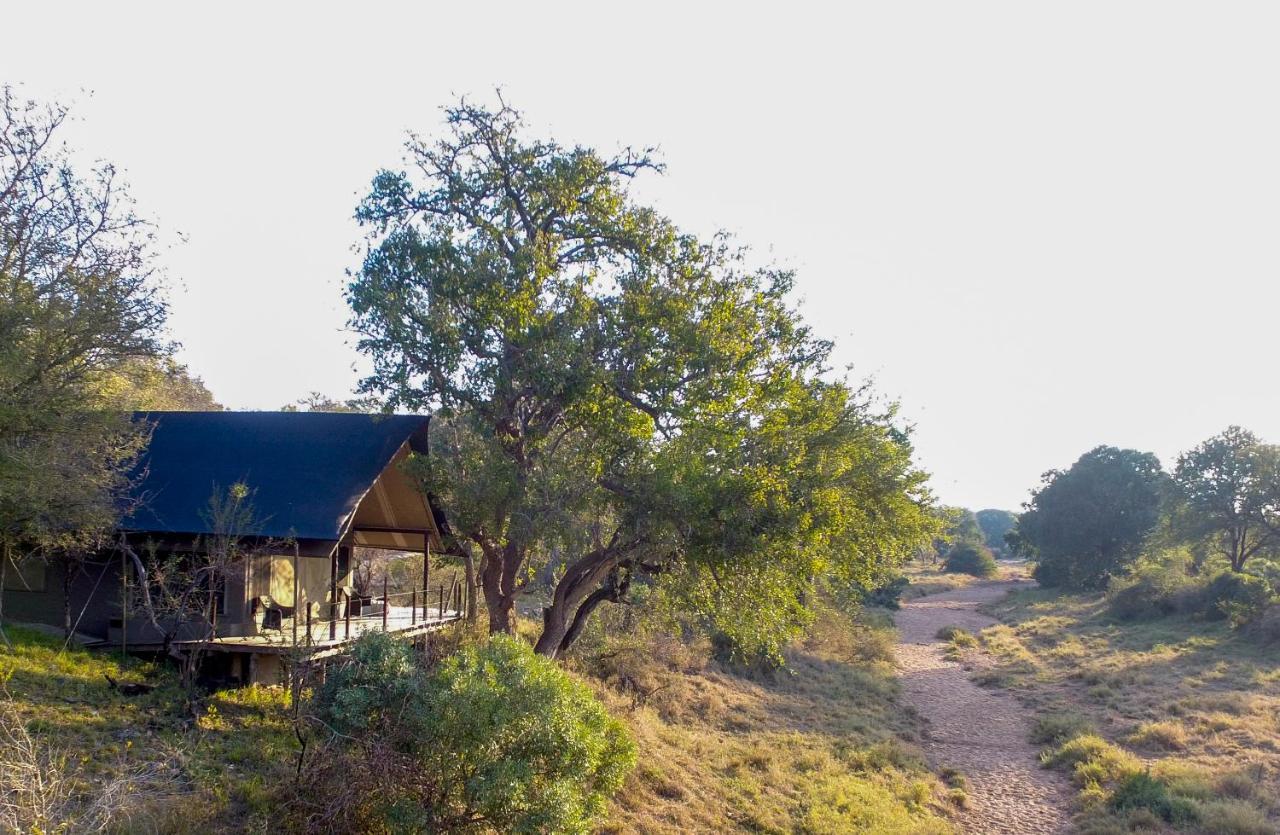 Garonga Safari Camp Villa Makalali Game Reserve Екстериор снимка