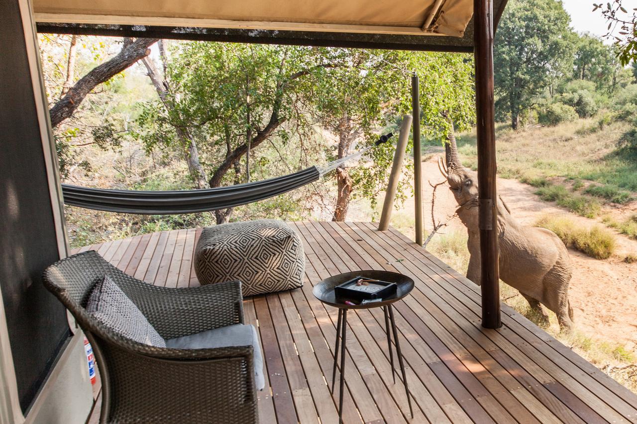 Garonga Safari Camp Villa Makalali Game Reserve Екстериор снимка