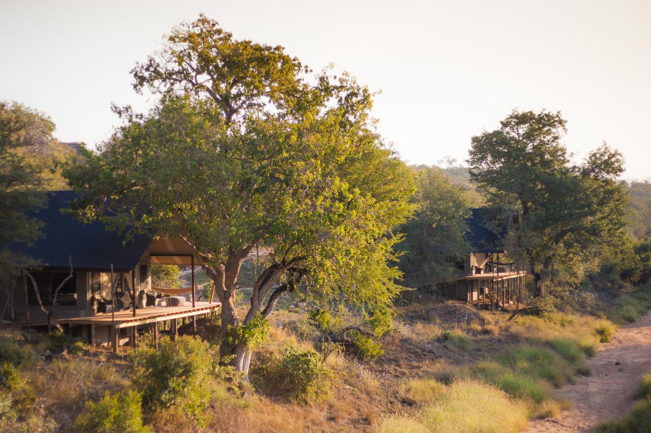 Garonga Safari Camp Villa Makalali Game Reserve Екстериор снимка